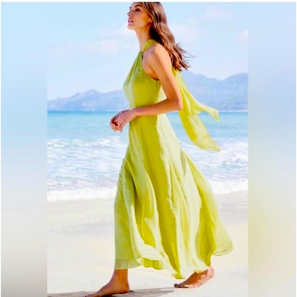 Soft Surroundings Linen Maxi Dress Pet Free & Smoke Free Home. - Picture 1 of 8